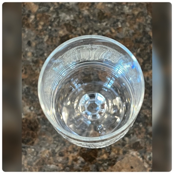 Needle Etched ‘Cascade’ Bohemian Crystal Champagne Glass-Set of Four - Picture 5 of 6